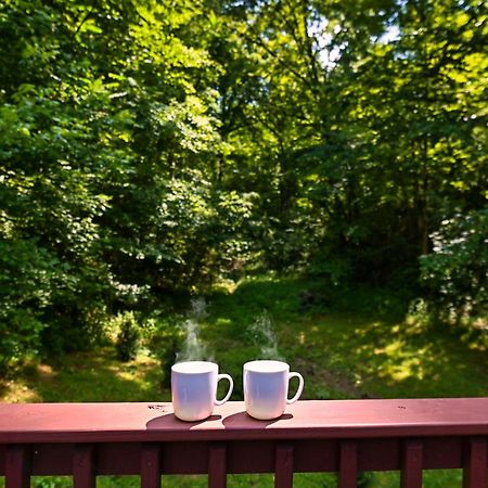 Smoky Mountains Hut Tub Cabin Dog Friendly Sevierville Luaran gambar